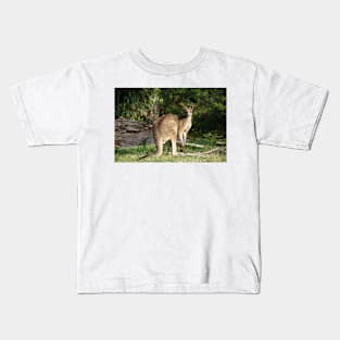 Kangaroo - by Avril Thomas Kids T-Shirt